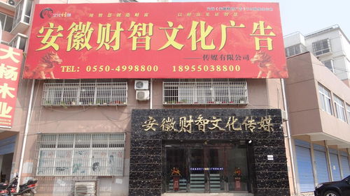 安徽财智文化广告传媒